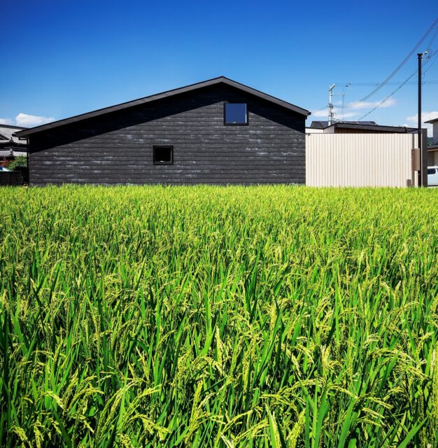 切妻屋根と黒壁が落ち着きを感じさせる和テイストの建物が、田んぼの緑のなかにぽっかり浮かぶかのよう。